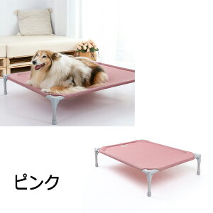 y10OFFN[| 12/1zybgxbh hbORbg rt  L xbh p Rbg Lvxbh nbN RpNg[ |[^u ^ xbh Lv gȒP yb