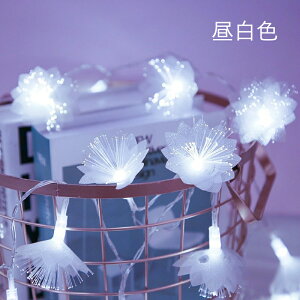 LEDC~l[V  dr 3m/20led 6m/40led LED C~l[VCg Ԍ^ ledCg XgO NX}X _   O dF Jt fR[V CeAp