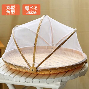 y10OFFN[| 11/1z| lbgt VR | U ~ ΍ ؂U | ~ R E ؃oXPbg Lv AEghA    Е t