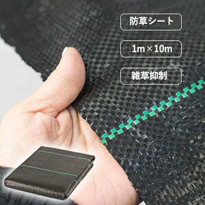 hV[g 1×10m K[fjO DIY K[f  lH p  V[g Gh~V[g Gh~ GV[g G} G΍ G V[g  h  ƒ؉ _ |p 