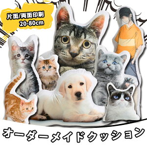 y}\ő500~OFFN[|zybg ʂ I[_[ChNbV ʐ^ ybg ʐ^ NbV  AObY  IWiNbV ybg { 