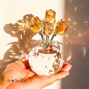 y10OFFN[|+P10Ԍzo  NX^ u 11F ͂Ȃ KN [Y ԑ u[P  NX^t[ CeA tFCNt[ tFCNO[ ސEj  a