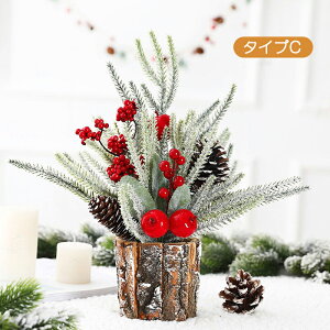 NX}Xc[  35cm ~jc[ ڂ ͋CX NX}Xc[ NX}XfR[V CeA ^ NX}X  CX^f NX}X p[eB[ 