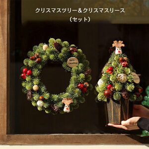 NX}Xc[  ~jc[ 30cm NX}X[X [X Zbg Ǌ|  O diy ͋CX ~jTCY e[uc[ NX}XI[ig ڂ {[ giJC 