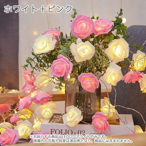  LEDCg u CeA [Y KN ͂Ȃ  o o^C nEB dr d LL p  X p[eB[ Cxg _fCI   NX