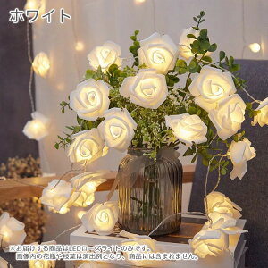  LEDCg u CeA [Y KN ͂Ȃ  o o^C nEB dr d LL p  X p[eB[ Cxg _fCI   NX