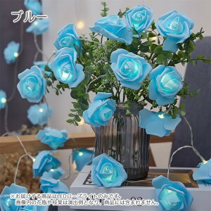  LEDCg u CeA [Y KN ͂Ȃ  o o^C nEB dr d LL p  X p[eB[ Cxg _fCI   NX