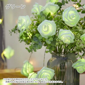  LEDCg u CeA [Y KN ͂Ȃ  o o^C nEB dr d LL p  X p[eB[ Cxg _fCI   NX