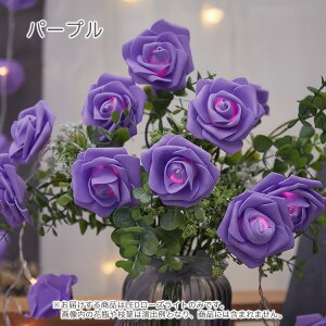  LEDCg u CeA [Y KN ͂Ȃ  o o^C nEB dr d LL p  X p[eB[ Cxg _fCI   NX