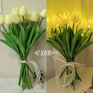  ԑ LEDCg CeA `[bv ͂Ȃ   Cxg v[g dr d o[Xf[ j 蕨 LL p u z  X ̓ hV̓ 