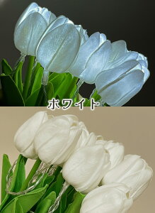 y15OFFN[| 11/11܂Łz ԑ LEDCg CeA `[bv ͂Ȃ   Cxg v[g dr d j 蕨 LL p u z  X 