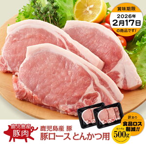 yzY ؃[XƂ񂩂p 500g(250g×2)