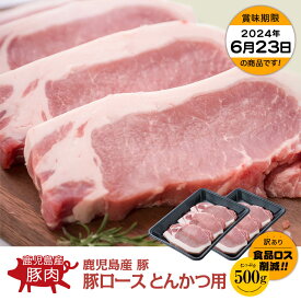 【お買い得】鹿児島県産 豚ロースとんかつ用 500g(250g×2)