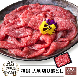 A5 Y јa I 唻 ؂藎Ƃ 300gbJ~`N t@[}[Y}[Pbg