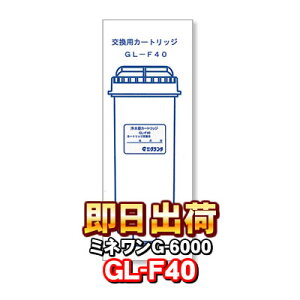 �y�����z �~�l���� G-6000 �򐅃J�[�g���b�W GL-F40 �򐅃t�B���^�[ �y�A�C�P���H�ƁE�O�����c�z