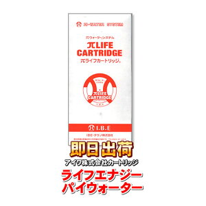 ���C�t�G�i�W�[�J�[�g���b�W�i�p�C���C�t�A�p�C�E�H�[�^�[�j�A�C�E�r�[�E�C�[�e�N�m �A�C��������� �����p�J�[�g���b�W�t�B���^�[