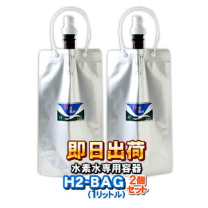 H2-BAG 1bg fp^ۑe iGC`c[obOjy2ZbgzyyΉz