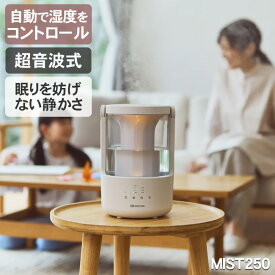 お手入れ簡単　プールレス加湿器　MIST250（ライトグレー）小型で洗いやすい　容量2L 約7畳対応 アロマオイル対応　超音波加湿振動方式 超音波式 静音 寝室 おしゃれで卓上やインテリア、乾燥対策やウィルス対策や除菌にオススメ