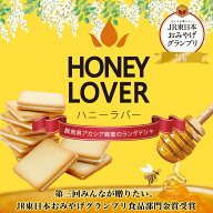 群馬県アカシア蜂蜜のラングドシャ 10枚　はちみつ　蜂蜜　クッキー　チョコレート　ラングドシャ　おみ…