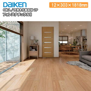 ySiΏ200~OFFN[|ztHXi`II@2P  12×303×1818mm 6 YF66- DAIKEN _CP 匚H  t[O イ Z{^ց 