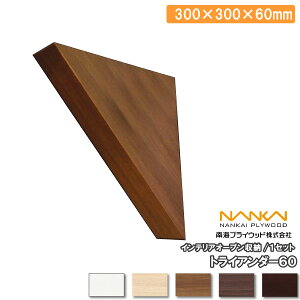 gCA_[60 300×300×60mm 1Zbg LIVTU60 CvCEbh NANKAI イ Z{ 