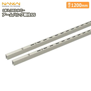 A[nOISSiSSVo[A2{AL=1200j K` K`[ `lT|[g I SS-H12S-2 CvCEbh NANKAI イ Z{^ց 