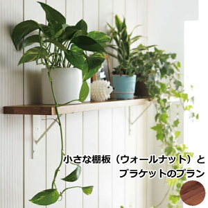 ySiΏ200~OFFN[|zȒIƃuPbgv ւ܂ L 900mm EH[VFt ǖʎ[ SK-002 Ebh WOODONE イ Z{ 