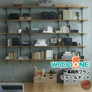 v ǖʎ[ EH[VFt rO_CjO FN-006 Ebh WOODONE イ Z{ ^ց 
