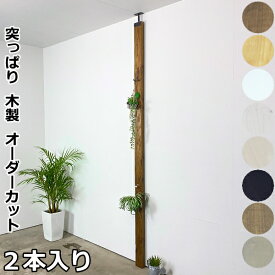 柱セット2本入り アイアンラブリコ + 塗装品2x4材 LABRICO 壁面収納 賃貸住宅 壁 柱 棚 DIY パーツ つっぱり 突っ張り 平安伸銅工業 じゅうたす 住＋