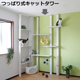 楽天市場 壁面収納 ペット ペットグッズ の通販