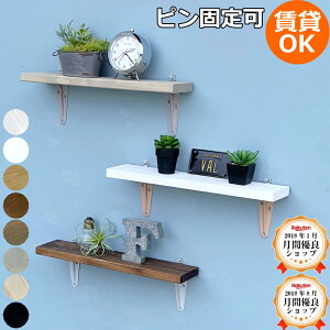 EbhVFt Ǌ| DIY EH[VFt ACA I  TANNER TCYI[_[ ݃J[ [ Vv Lb`  Tj^[ XpCXbN I[_[ ǖ I VFt 