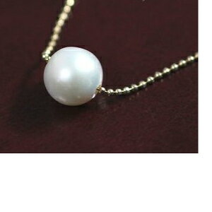 ybsO @@a@j@Mtg@ ԂzW^IAAA {Ii̒Wp[lbNX