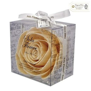 ybsO a@j@Mtg Ԃz\t[ i`@WFg[Y11&A}ICZbg