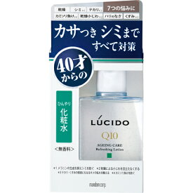 【マンダム】ルシード 薬用 トータルケア ひんやり化粧水　110mL【ローション】【化粧水】【男性用化粧品】【LUCIDO】