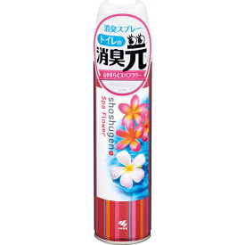 【小林製薬】消臭元スプレー心やすらぐスパフラワー 　280ml【トイレ用消臭スプレー】【消臭元】