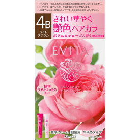 【カネボウ】エビータ トリートメントヘアカラー【4B ライトブラウン】45g+45g【ヘアカラー】【白髪染め】【医薬部外品】【EVITA】【エビータ】