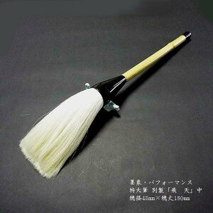  ptH[}XpM nсwʐ Vijxb M pi nەM ptH[}X