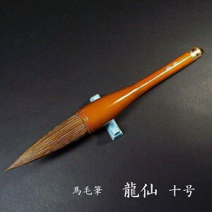  𕝗p n|Mw 10xb M pi KM  M n 厚 ptH[}Xp