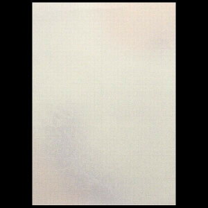 wgtx5FZbg 50b p p a ȗ