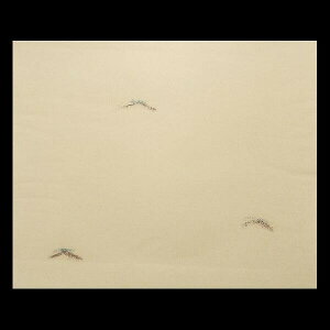 ÕMՏpw Kpx20b p  Տ