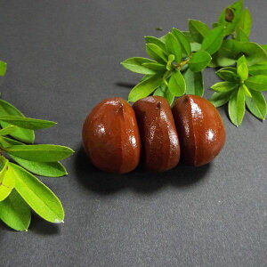 암S퐻 wIx3Zbgb pi  y[p[EFCg a `H|   H