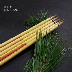 ܂Ƃߔp  ׎MwRx5{Zbgb M m M wp O