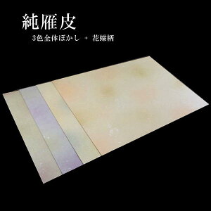 S󎆗w玆x3Fڂ Ԓb p   ȗ