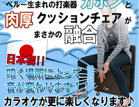 【送料無料】カホンチェア日本製日本本Bookブック