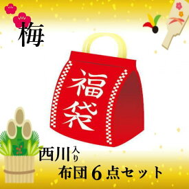 寝具【★★年に一度の決算1000円クーポン配布★★】西川 【2024年新生活福袋・梅】布団セット 羽毛 掛け布団 羽毛布団セット 6点セット 敷布団 軽量 西川 羽毛布団 シングルロング 日本製 羽毛掛け布団 羊毛三層敷布団 カバー3点 来客用母の日