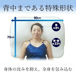 abMK SHOWA NISHIKAWA GIGA܂ zCg 2211001012994ЊQObY