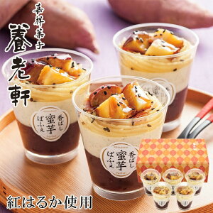 Mtg Ε 2025Mtg s {V ̖ςӂ Mtg  v[g lC LO aَq 񂹃XC[cЊQObY