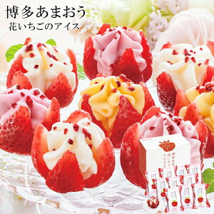 Mtg Ε ACX  XC[c Mtg Ԃ̃ACX C`S  ܂ ܂ A-DRS   fU[g ACXN[ 킢 t[c v[g j mَq 