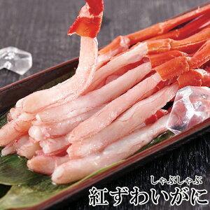 Mtg Ε2025 [J[ gYCKjԂ Mtg  v[g lC LO 񂹃O Zbg Ƒ  Hi 