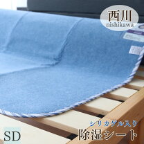 楽天市場】ドライ 西川 airの通販